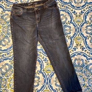 Lane Bryant Genius Fit Skinny Jeans